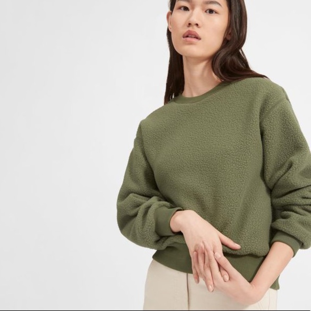 RARE Everlane Fleece Oversized Sweatshirt in Sage